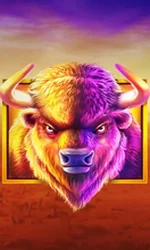 Buffalo King