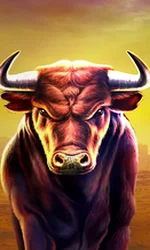Black Bull